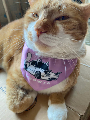 MEOWTA smug cat bandana collar