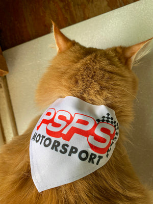 motorsport cat bandana